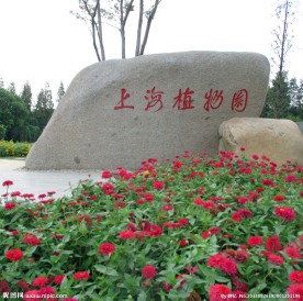 上海植物园