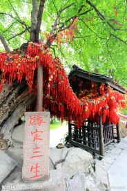 成都景观