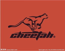 动物logo