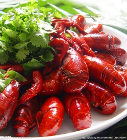 麻辣小龙虾