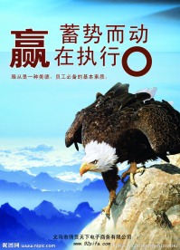 企业文化执行力鹰海报