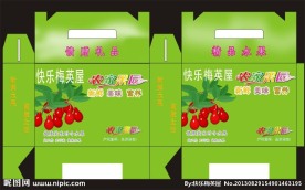 水果包装盒 包装盒