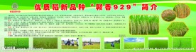 农业展板