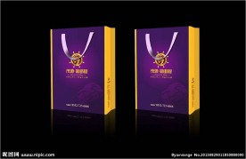 房地产物料手提袋设计