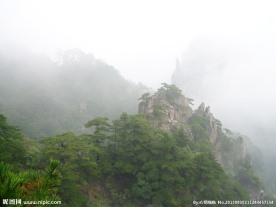 黄山云雾