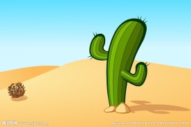 沙漠大风仙人掌