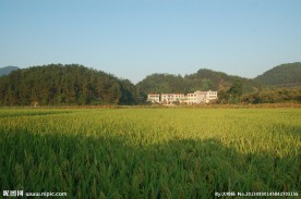 田园风光