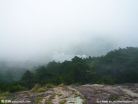 黄山云雾