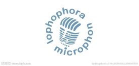 肖像logo