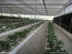 植物培育展厅
