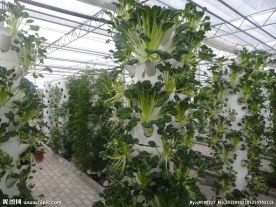植物展览