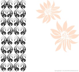 花纹