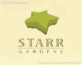 星形logo