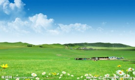 草原风景