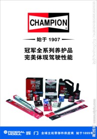 辉门冠军养护产品