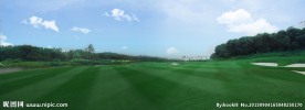 高尔夫球场风景
