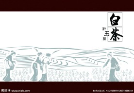 白茶包装