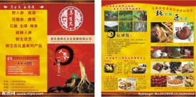 人参传单