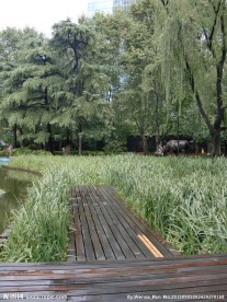 小桥风景