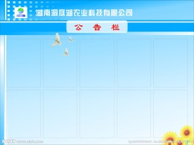 公告栏