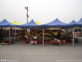 大明宫石展