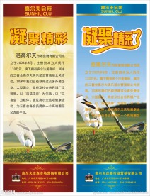 高尔夫球 凝聚精