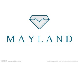钻石logo