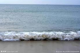 海 大海 海水 海浪