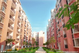 小区 楼房 绿化