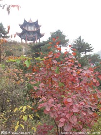嵩县卧龙谷