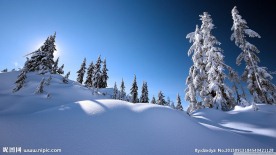 雪景