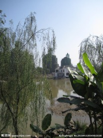 校园风景