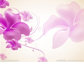 花朵无框画