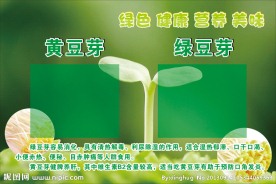 豆芽价格牌