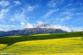 祁连卓尔山