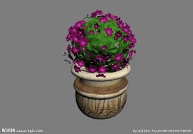 鲜花模型