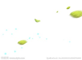 落叶飘