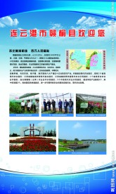 连云港农业展板