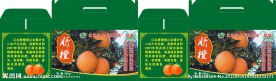 脐橙包装设计
