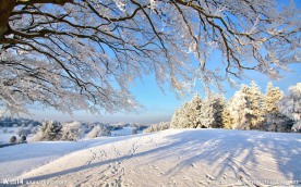 雪景