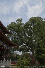 道观