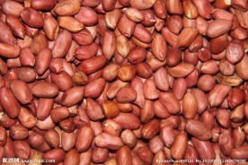 红花生米