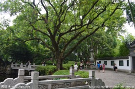 上海南翔古镇 古猗园
