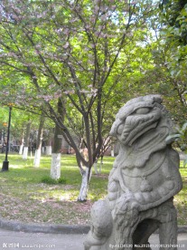 苏州 大学 风景