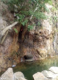 圣水