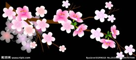 梅花透明flash