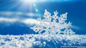 雪花