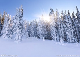 雪景