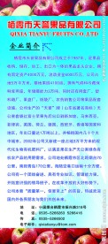 苹果展架