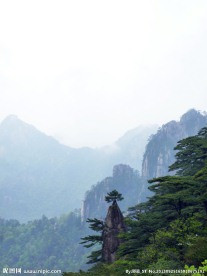 黄山云雾